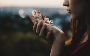 Read more about the article Lorem ipsum dolor sit 1